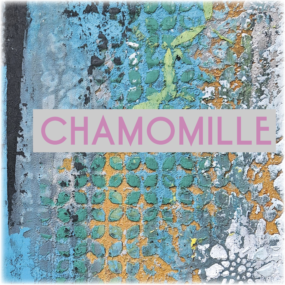 Chamomille Stencil Set